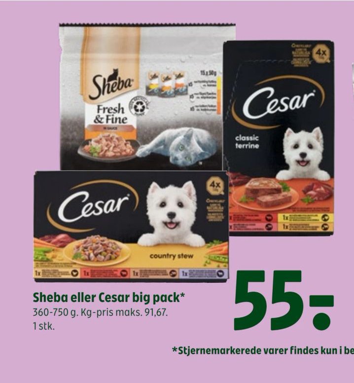 Sheba eller Cesar big pack – Coop 365discount