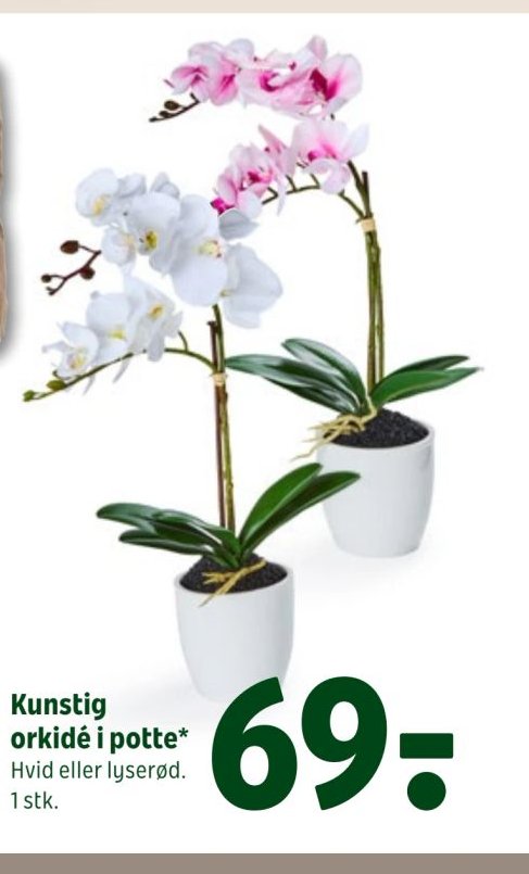 Kunstig orkidé i potte – Coop 365discount