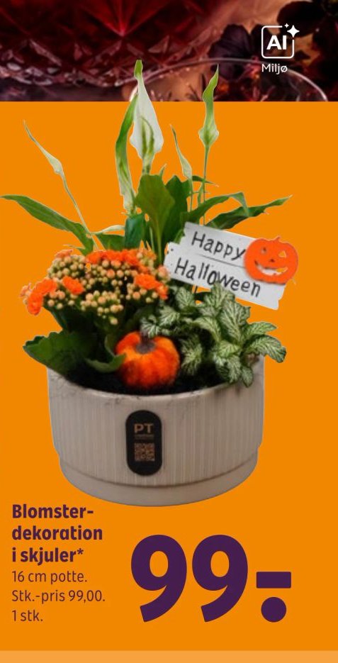 Blomsterdekoration i skjuler* – Coop 365discount