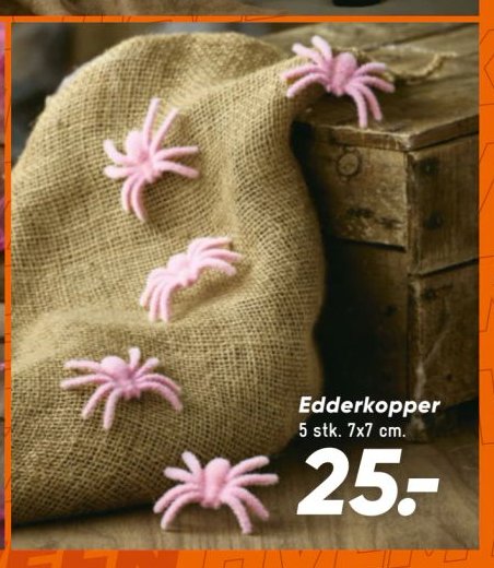 Edderkopper 5 stk. 7x7 cm. – Bilka