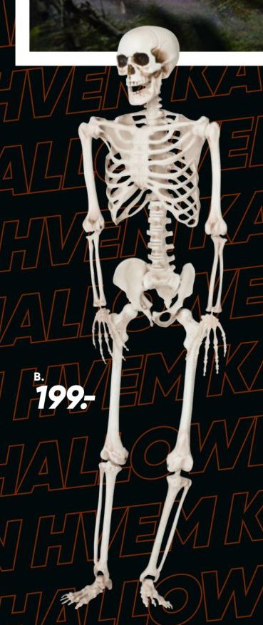 B. Skelet 150 cm. Til ophæng. – Bilka