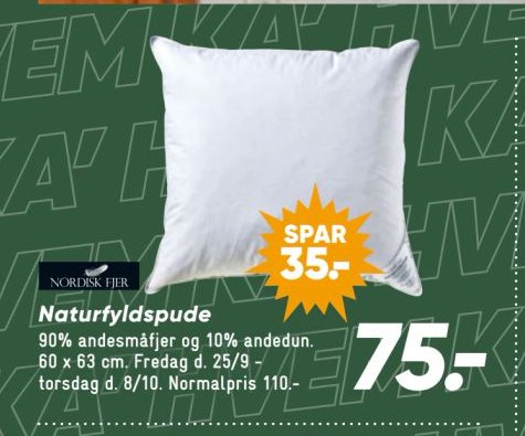 Naturfyldspude 90% andesmåfjer og 10% andedun. 60 x 63 cm. – Bilka