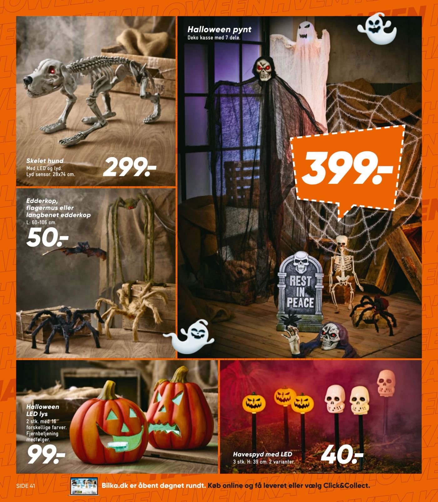 Edderkop, flagermus eller langbenet edderkop L: 60-100 cm. – Bilka