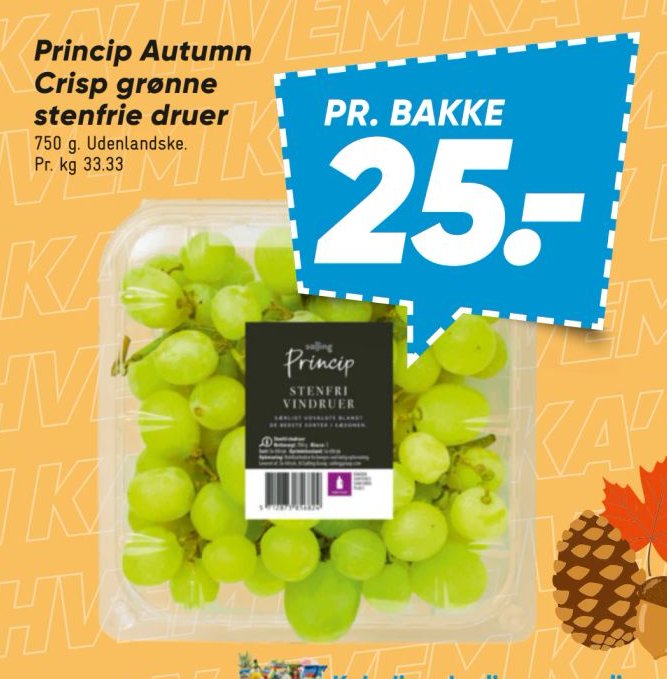 Princip Autumn Stenfri vindruer – Bilka
