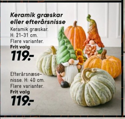 Keramik græskar eller efterårsnisse Keramik græskar. H: 1-31 cm. Flere varianter. – Bilka