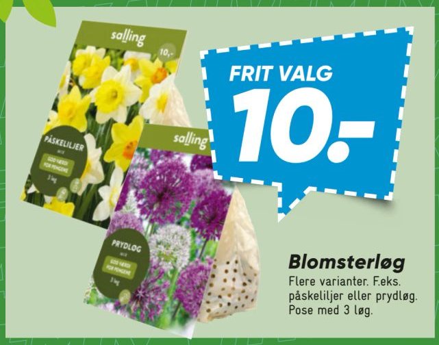 Blomsterløg Flere varianter. F.eks. påskeliljer eller prydløg. Pose med 3 løg. – Bilka