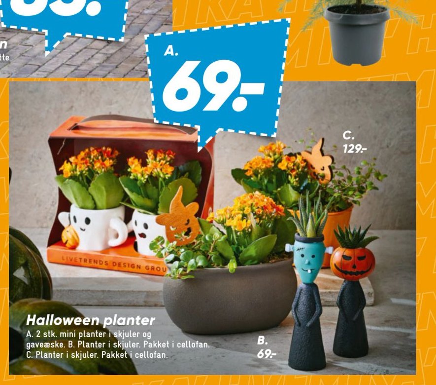 Halloween planter – Bilka