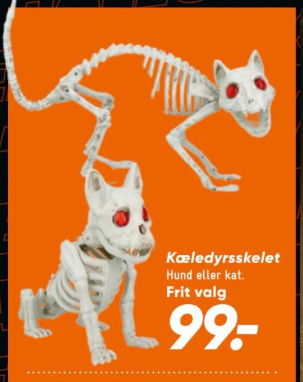 Kæledyrsskelet Hund eller kat. Frit valg – Bilka