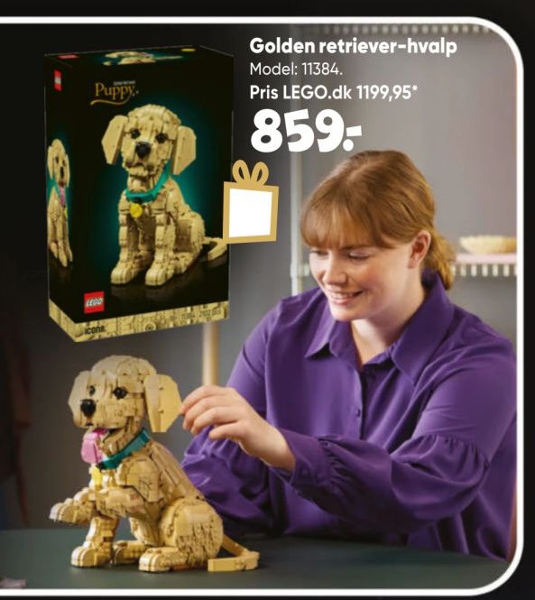 Golden retriever-hvalp – Bilka