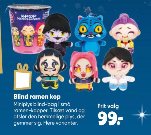 Blind ramen kop – Bilka