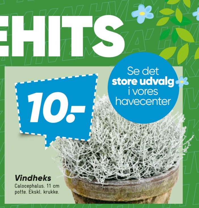 Vindheks – Bilka