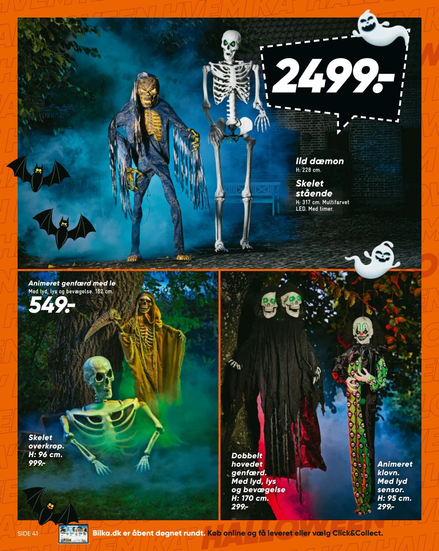 Skelet overkrop – Bilka