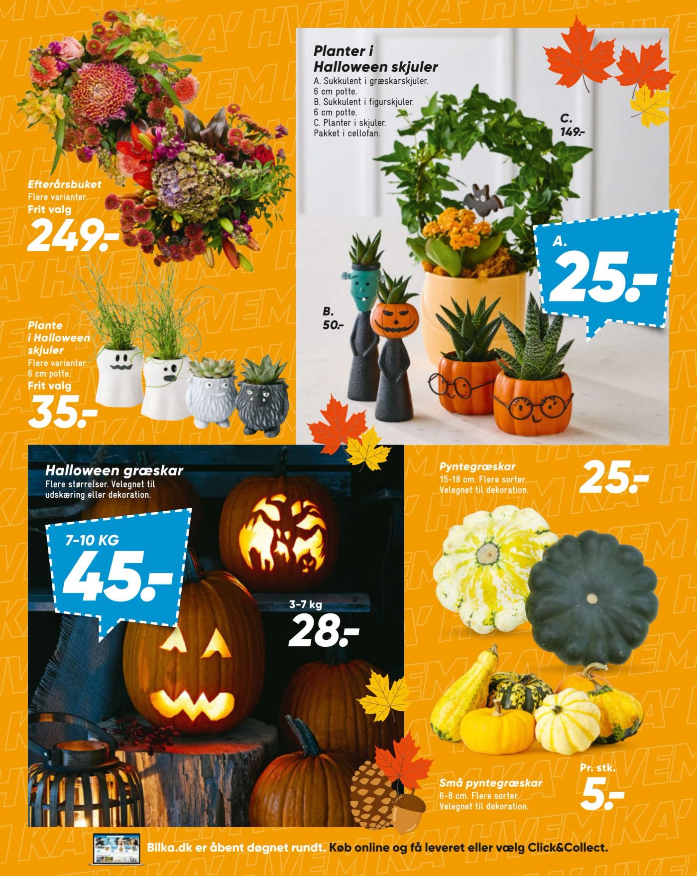 Halloween græskar – Bilka