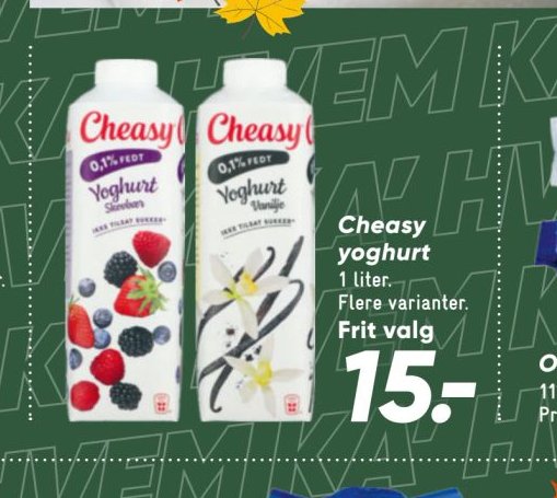 Cheasy yoghurt – Bilka
