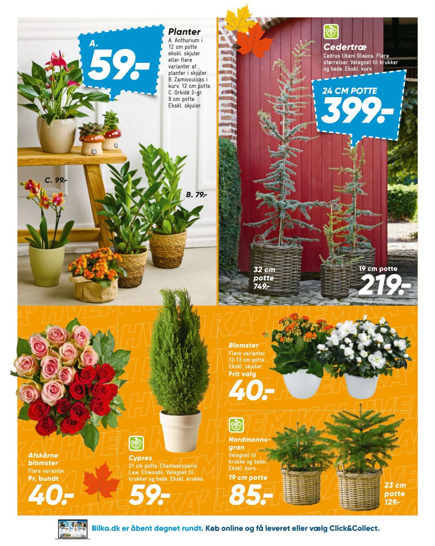 Planter – Bilka