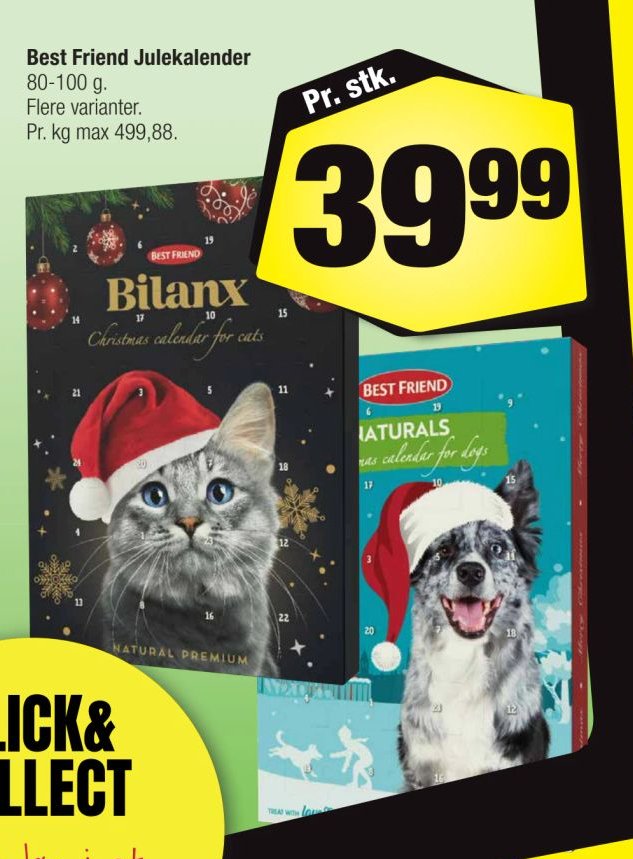 Best Friend Julekalender – Calle