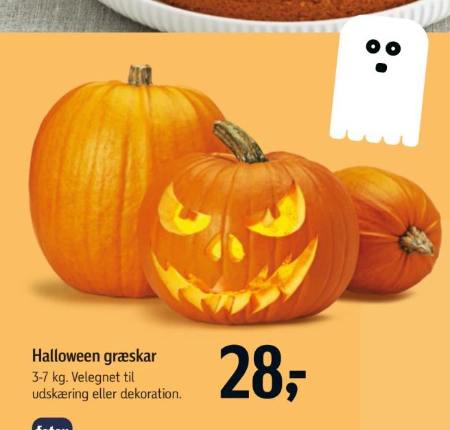 Halloween græskar 3-7 kg. Velegnet til udskæring eller dekoration. – Føtex