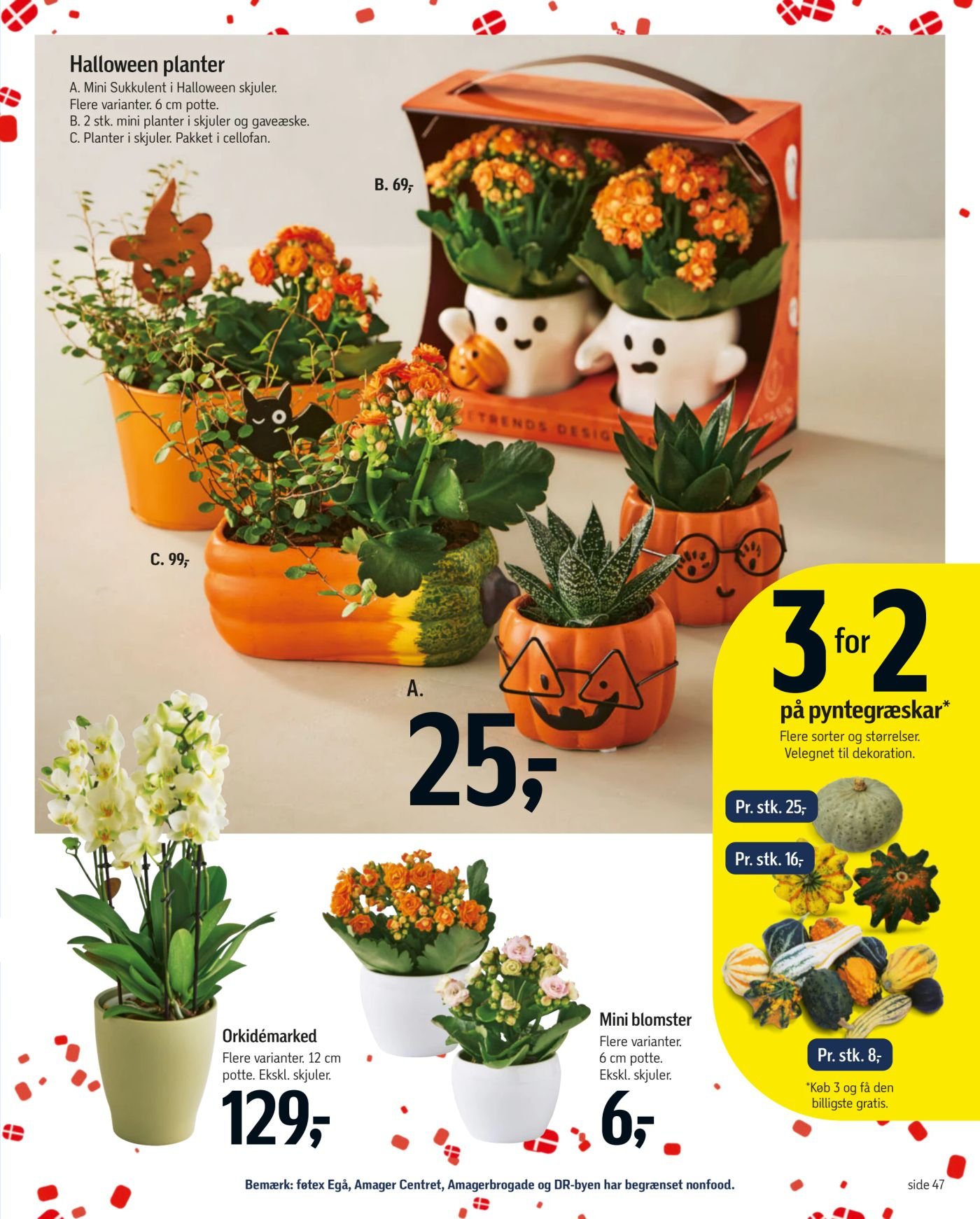 3 for 2 på pyntegræskar* Flere sorter og størrelser. Velegnet til dekoration. Pr. stk. 25,- – Føtex