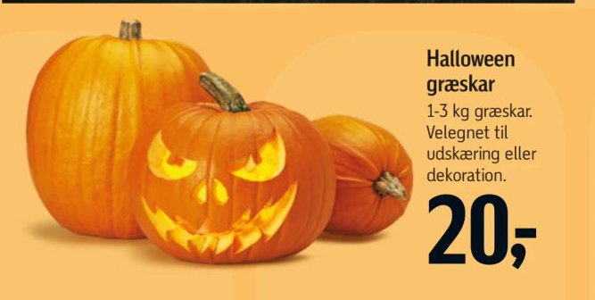 Halloween græskar 1-3 kg græskar. Velegnet til udskæring eller dekoration. – Føtex