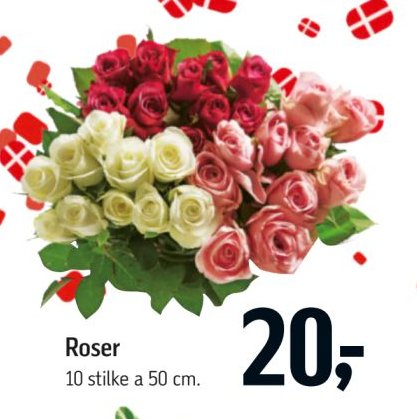 Roser 10 stilke a 50 cm. – Føtex