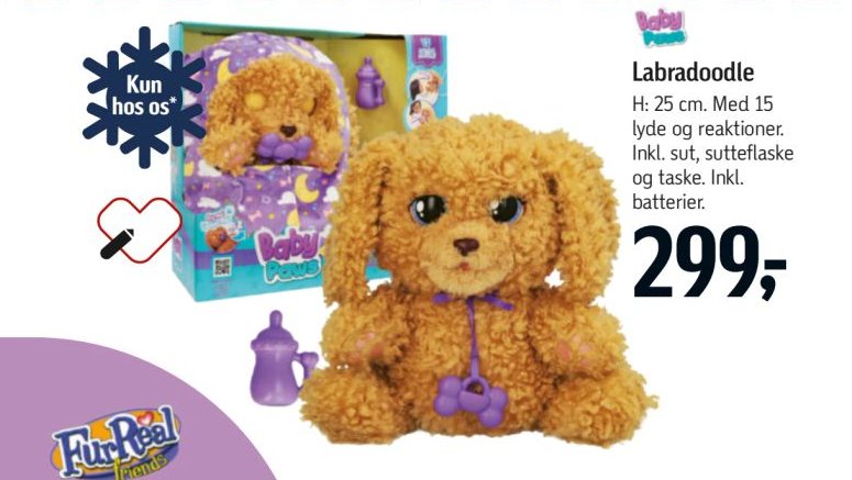 Labradoodle – Føtex