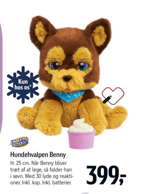 Hundehvalpen Benny – Føtex