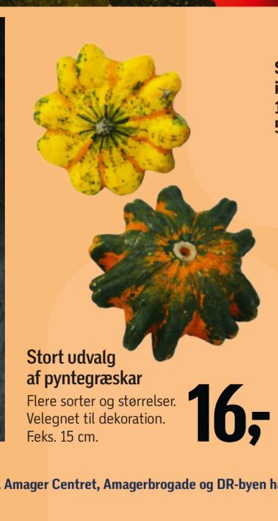 Stort udvalg af pyntegræskar – Føtex