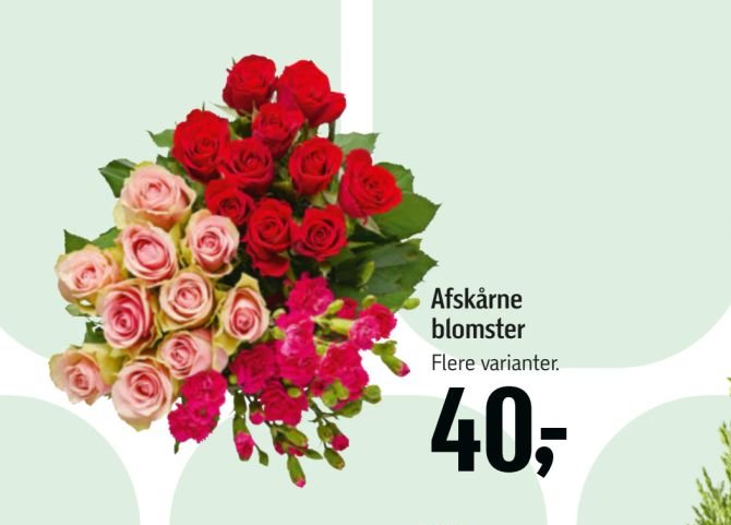 Afskårne blomster – Føtex