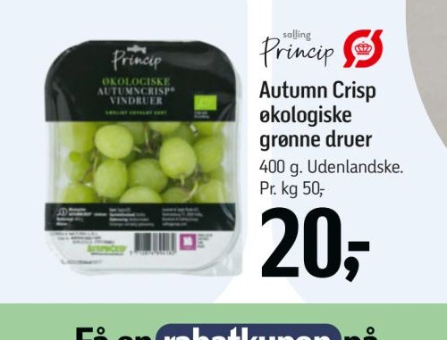 Autumn Crisp økologiske grønne druer – Føtex