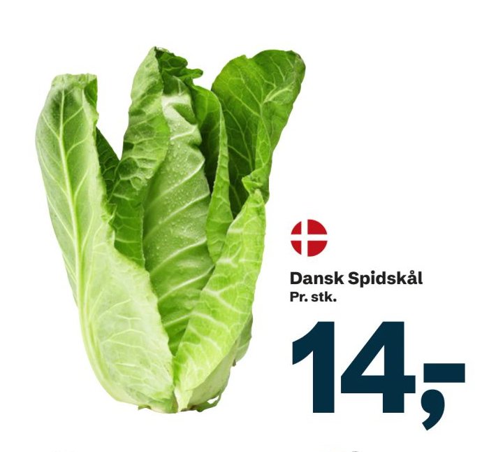 Dansk Spidskål – LET-KØB