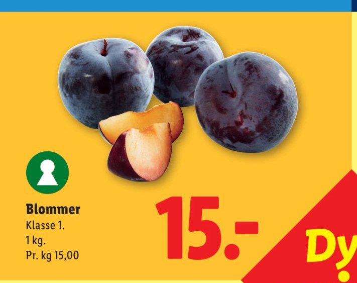 Blommer Klasse 1. – Lidl