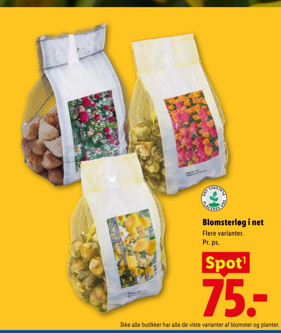 Blomsterløg i net Flere varianter. Pr. ps. – Lidl