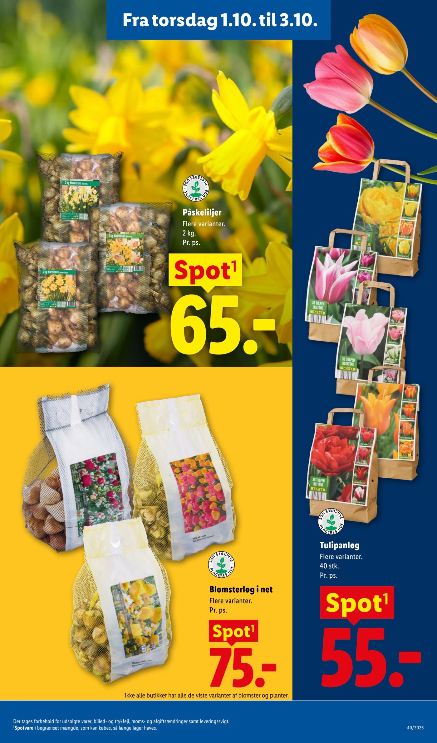 Tulipanløg Flere varianter. 40 stk. Pr. ps. – Lidl