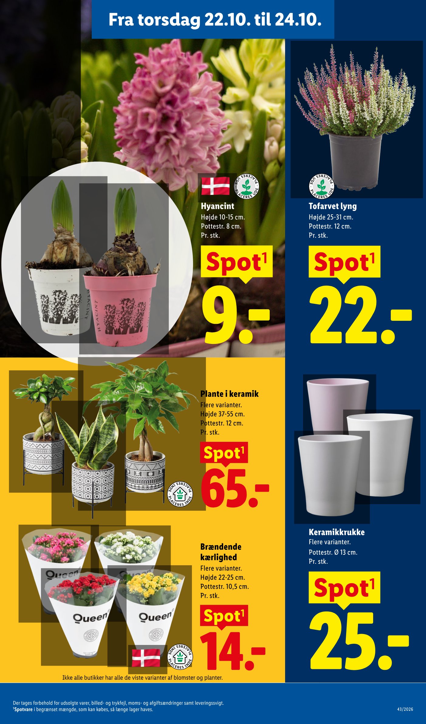 Brændende kærlighed – Lidl