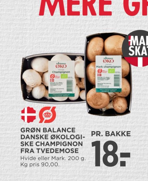 GRØN BALANCE DANSKE ØKOLOGISKE CHAMPIGNON FRA TVEDEMOSE – Meny