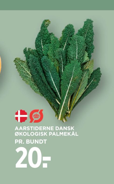 AARSTIDERNE DANSK ØKOLOGISK PALMEKÅL – Meny
