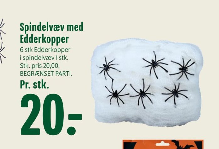 Spindelvæv med Edderkopper – Min Købmand