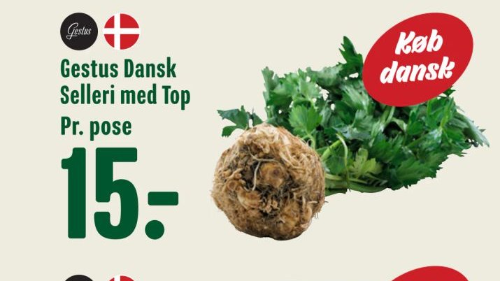 Gestus Dansk Selleri med Top – Min Købmand