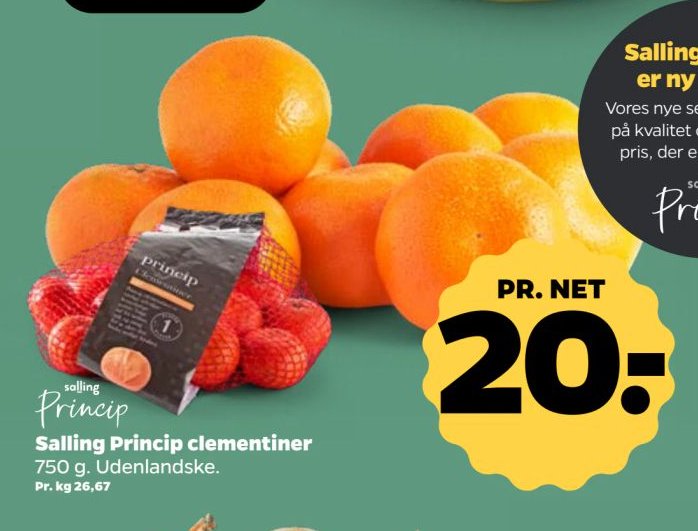 Salling Princip clementiner 750 g. Udenlandske. – Netto