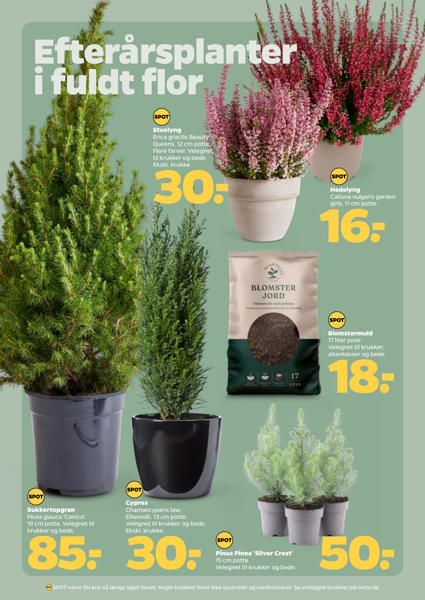 Hedelyng – Netto