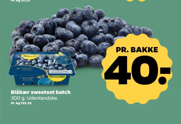 Blåbær sweetest batch – Netto