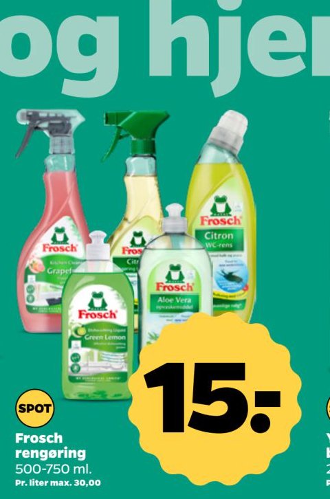 Frosch rengøring – Netto