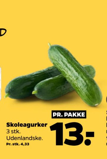 Skoleagurker – Netto
