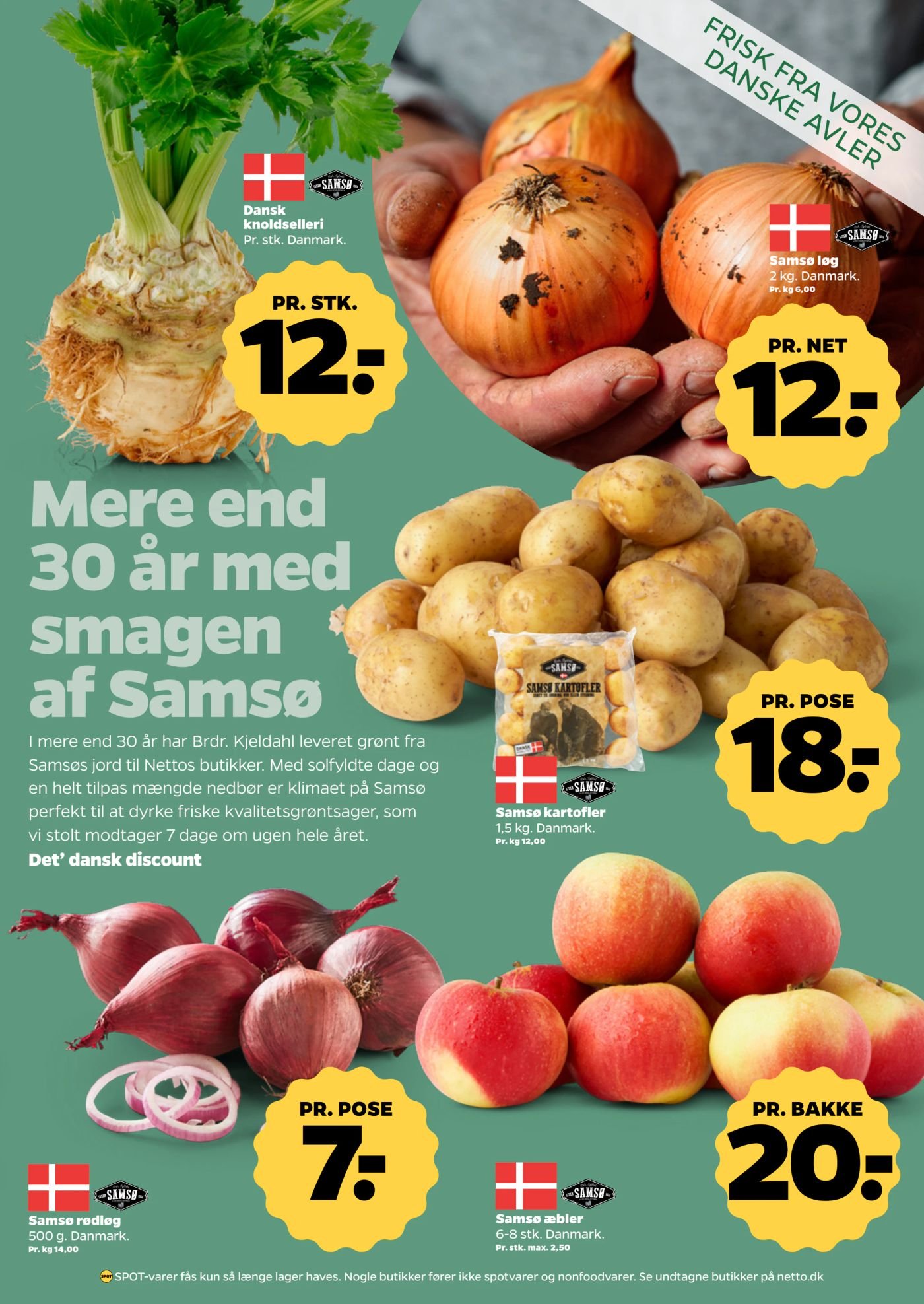 Samsø rødløg – Netto
