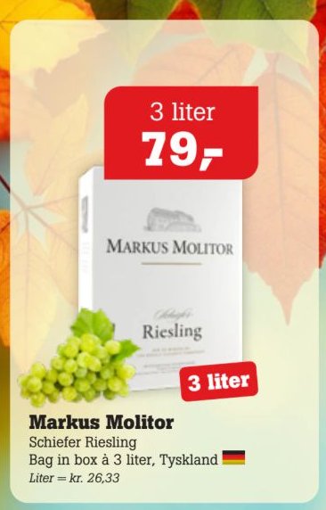 Markus Molitor – Pøtzsch