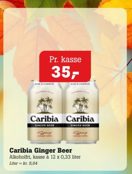 Caribia Ginger Beer – Pøtzsch