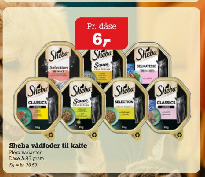 Kattemad Vådfoder
