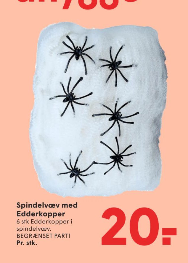 Spindelvæv med Edderkopper 6 stk Edderkopper i spindelvæv. BEGRÆNSET PARTI – Spar