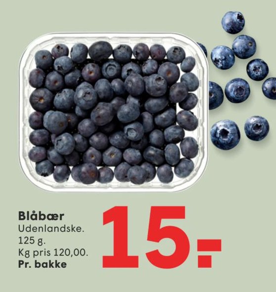 Blåbær Udenlandske. 125 g. Kg pris 120,00. Pr. bakke – Spar