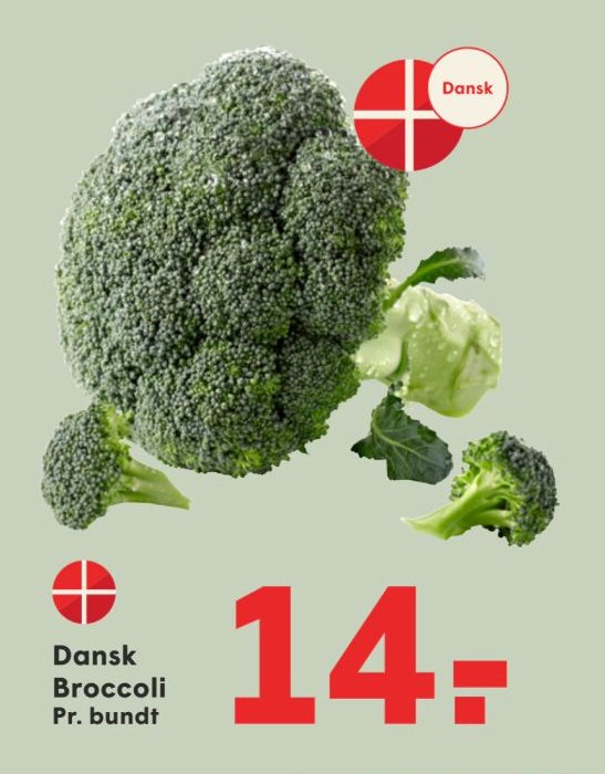 Dansk Broccoli Pr. bundt – Spar